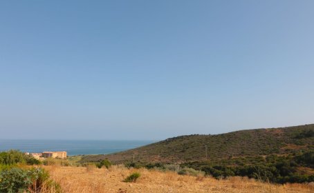 Land with Ruin for sale in Manilva, Manilva