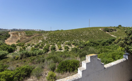 Terreno Rustico en venta en Casares, Casares