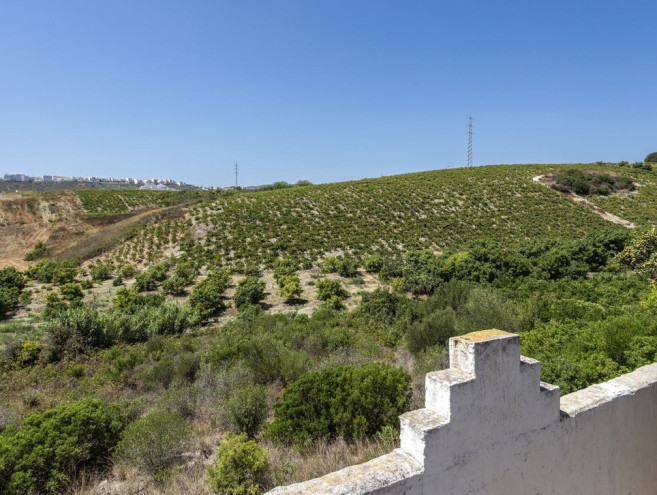 Ziemia for sale in Casares, Costa del Sol