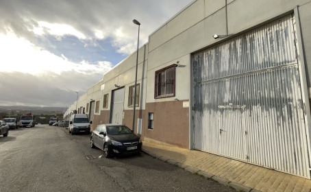 Negocio en venta en Estepona, Estepona