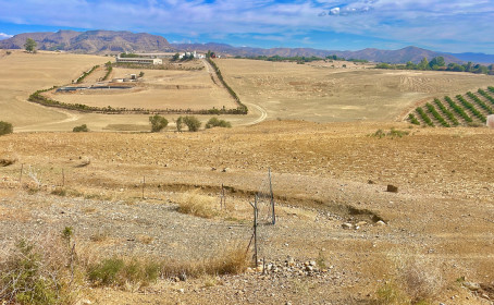 Land for sale in Villafranco del Guadalhorce, Villafranco del Guadalhorce