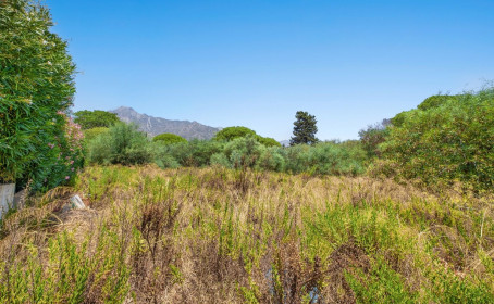 Land for sale in Marbella, Marbella