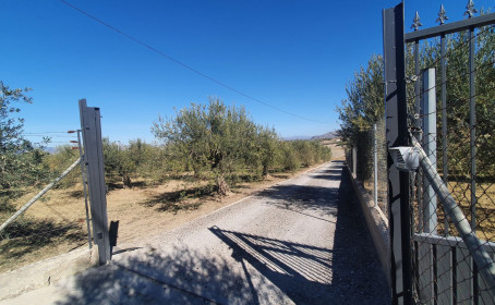 Ziemia for sale in Alhaurín el Grande, Alhaurín el Grande