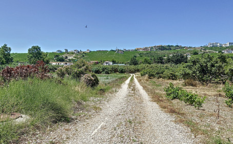 Farm for sale in Doña Julia, Doña Julia