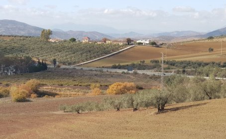 Land for sale in Colmenar, Colmenar