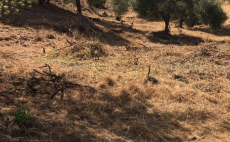 Terreno Urbano en venta en Hacienda Las Chapas, Hacienda Las Chapas