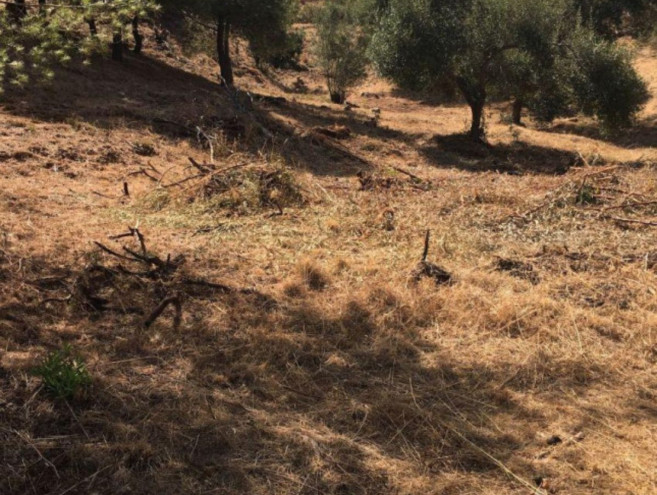 Terreno Urbano en venta en Hacienda Las Chapas, Costa del Sol