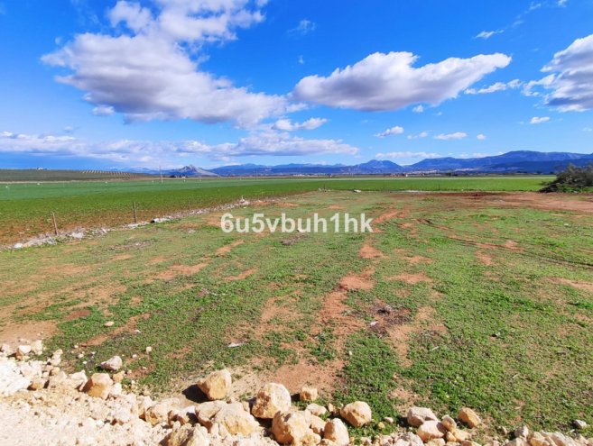 Land for sale in Mollina, Costa del Sol