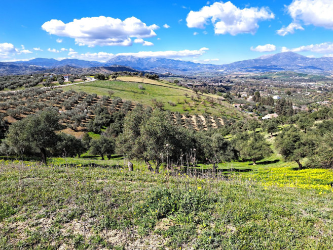 Terreno Rustico en venta en Coín, Costa del Sol