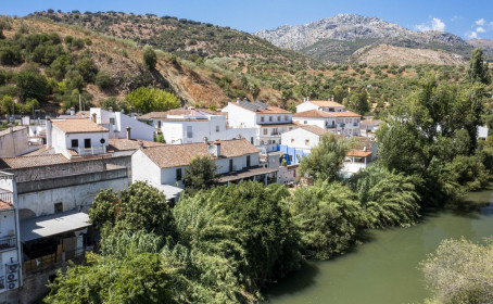 Cama y Desayuno en venta en Cortes de la Frontera, Cortes de la Frontera