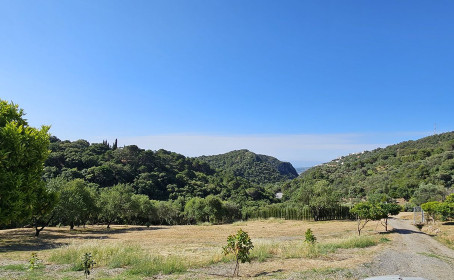 Terreno Rustico en venta en Casares, Casares