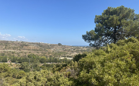 Land for sale in Benahavís, Benahavís