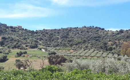 Farm for sale in Coín, Coín