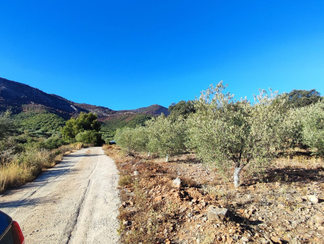 Terreno Rustico en venta en Alhaurín el Grande, Costa del Sol