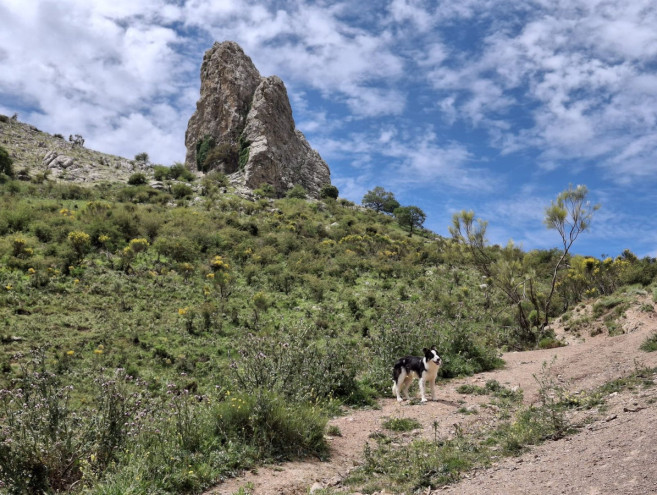 Terreno Rustico en venta en Alfarnatejo, Costa del Sol East