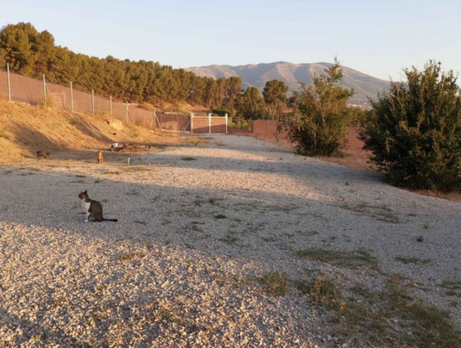 Terreno Rustico en venta en Alhaurín el Grande, Costa del Sol