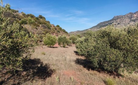 Land for sale in El Burgo, El Burgo