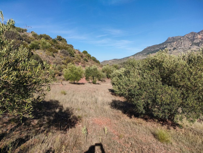 Terreno Rustico en venta en El Burgo, Costa del Sol