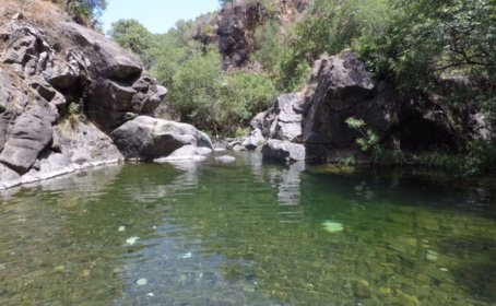 Terreno con Ruina for sale in Estepona, Estepona