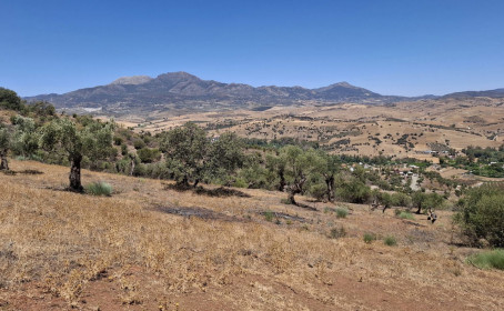 Terreno Urbano en venta en Coín, Coín