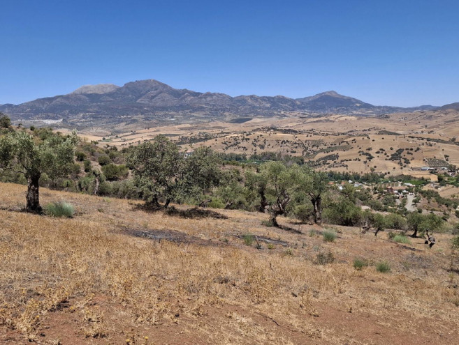 Terreno Urbano en venta en Coín, Costa del Sol