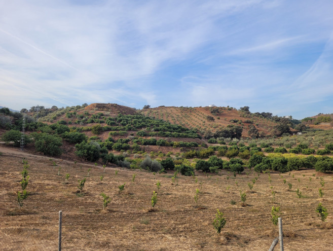 Terreno Rustico en venta en Guaro, Costa del Sol