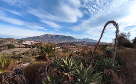 Terreno Rustico en venta en La Cala de Mijas, La Cala de Mijas