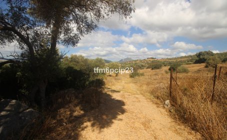 Land with Ruin for sale in Casares, Casares