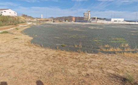 Terreno Rustico en venta en Alhaurín de la Torre, Alhaurín de la Torre