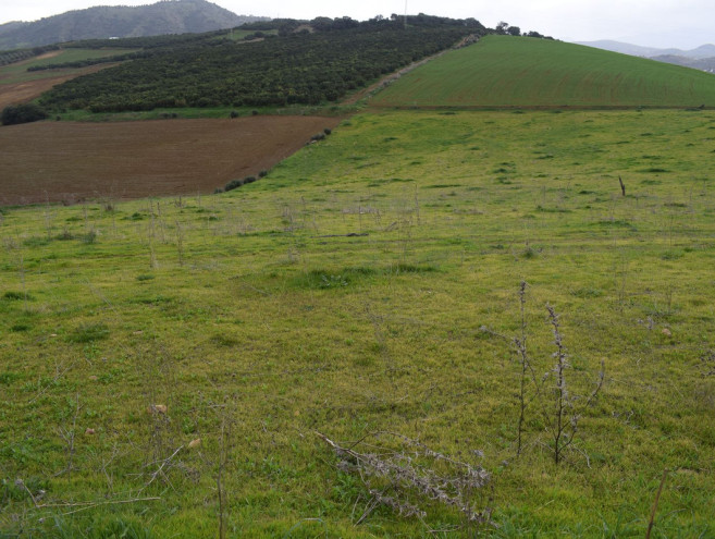 Terreno Rustico en venta en Guaro, Costa del Sol