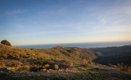 Terreno Rustico en venta en Moclinejo, Moclinejo