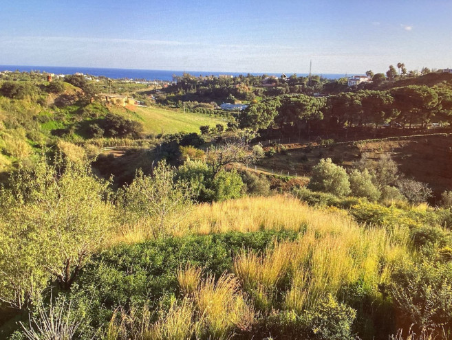 Terreno Rustico en venta en Estepona, Costa del Sol