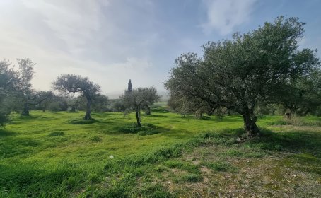 Ziemia for sale in Alhaurín el Grande, Alhaurín el Grande