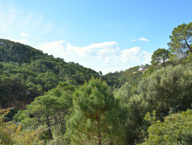 Terreno Urbano en venta en Benahavís, Costa del Sol