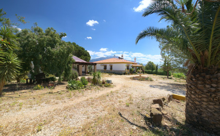 Willa for sale in Periana, Periana