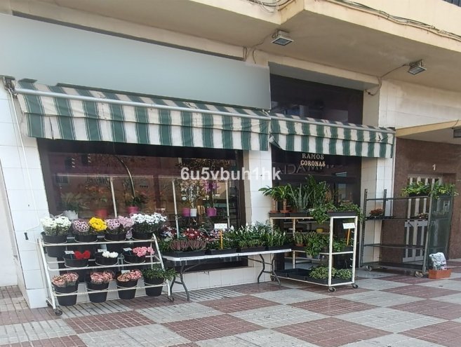  for sale in Marbella, Costa del Sol