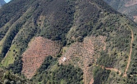 Terreno Rustico for sale in Monda, Monda