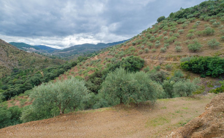 Terreno Rustico en venta en Monda, Monda