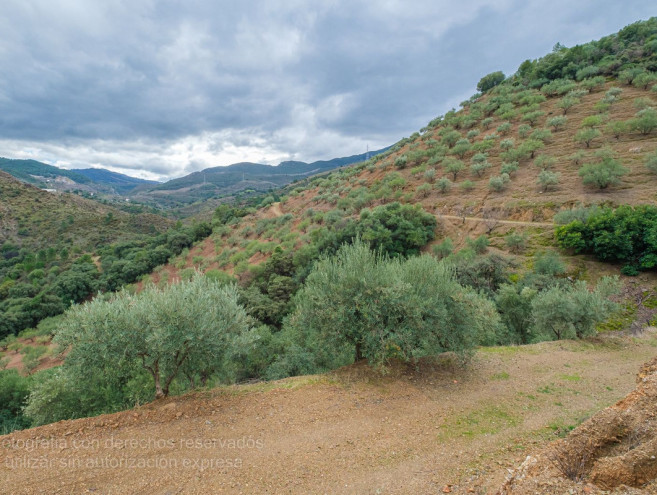 Terreno Rustico en venta en Monda, Costa del Sol