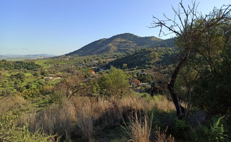 Terreno Rustico en venta en Coín, Coín