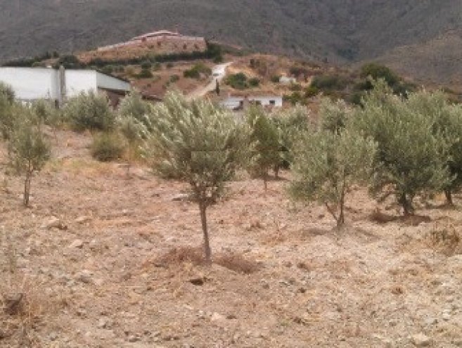 Land for sale in Estepona, Costa del Sol