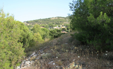 Ziemia for sale in Alhaurín de la Torre, Alhaurín de la Torre